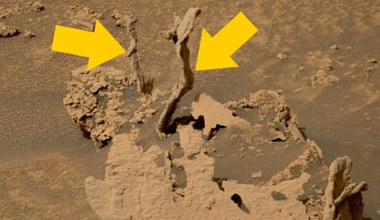 Łazik Curiosity znalazł na Marsie osobliwe skały. Na Ziemi mamy jednak podobne