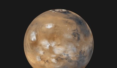 Łazik Curiosity zniszczył życie na Marsie?