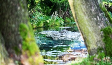 Lazurowe źródełko i miejsce na piknik. Tylko 30 minut od Krakowa