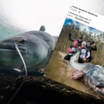 "Łeb jak sklep, prawdziwy potwór". Sum złowiony w Rybniku pobił rekord świata