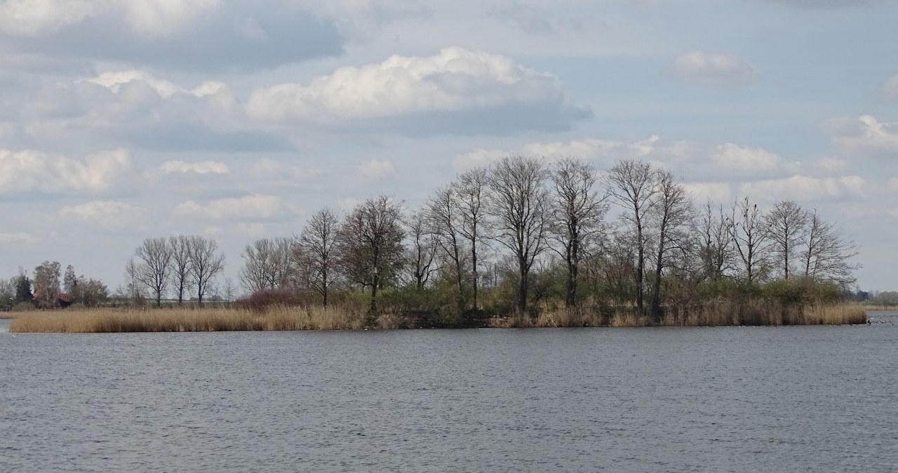 Lednica odkryła kolejne skarby. Archeolodzy znaleźli cztery wyjątkowe włócznie sprzed tysiąca lat /Robert Niedźwiedzki /CC BY-SA 4.0