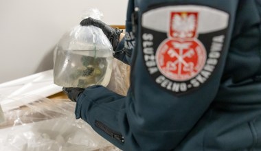 Ledwo uszły z życiem. Na Okęciu zatrzymano przemyt ponad 1000 zwierząt