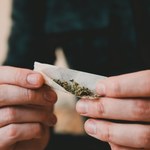 Legalna marihuana w Niemczech? Bundestag zdecydował