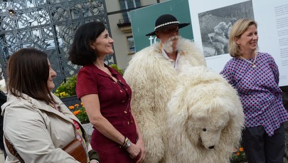 Legendarny Biały Miś świętuje setne urodziny