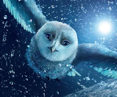 "Legendy sowiego królestwa: Strażnicy Ga'hoole" [trailer]