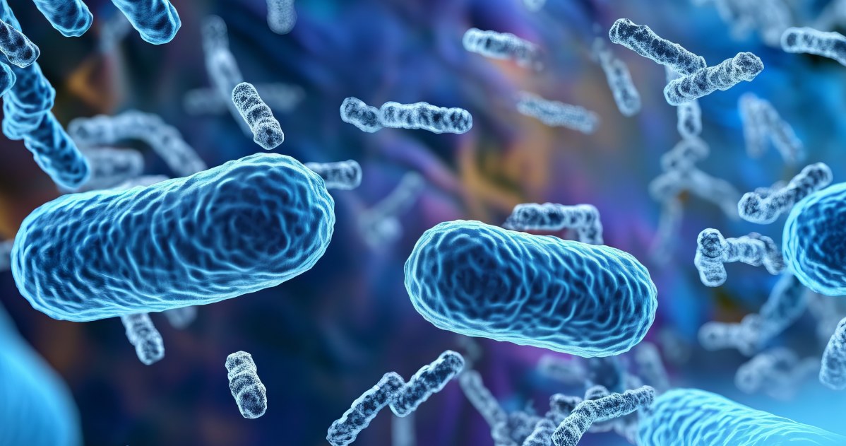 Legionella nie jest groźna dla zdecydowanej większości zdrowych osób - przekonują eksperci. Warto jednak wiedzieć, jak zminimalizować ryzyko zakażenia /123RF/PICSEL