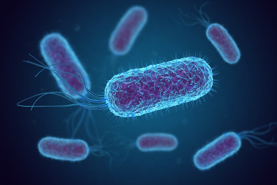 Legionella Pneumophila /Shutterstock