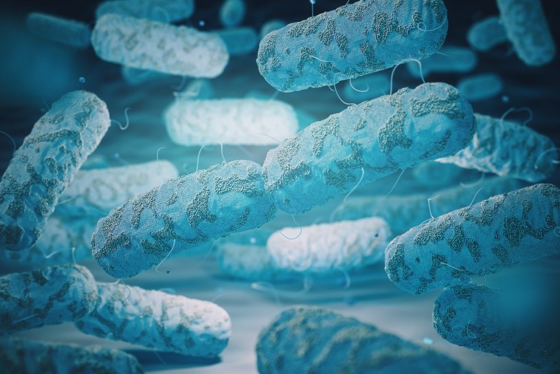 Legionella: Szpital radzi jak zapobiec chorobie 