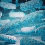 Legionella: Szpital radzi jak zapobiec chorobie 
