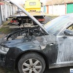 Legnica: Zatrzymano podejrzanych o podpalenia aut niepełnosprawnych