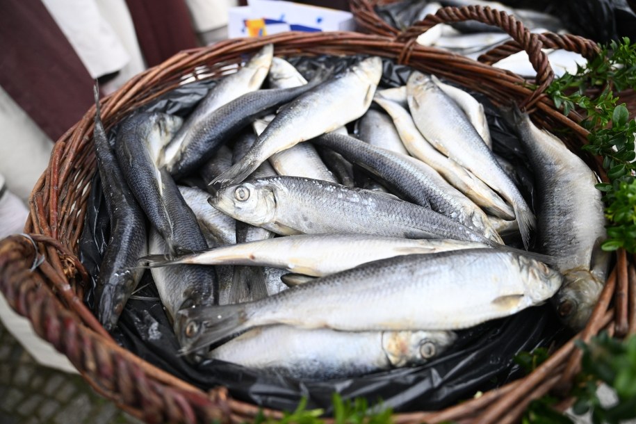 Legnicka wielkopostna jałmużna, w czasie której najbardziej potrzebującym mieszkańcom miasta rozdawane są bochenki okrągłego chleba, postne śledzie i specjalnie na ten cel wybite – pamiątkowe grosze /Maciej Kulczyński /PAP