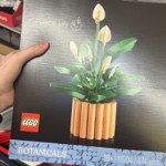 LEGO Botanical 20 zł taniej, praliny 1+1 i tulipany 2+1. Lidl i Biedronka kończą dziś te promocje