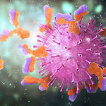 "Lek" na koronawirusa - specjalne nanoprzeciwciała do walki z wirusem