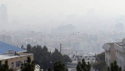 Lekarze: Chcemy lepszych informacji o smogu. "Tu chodzi o ochronę zdrowia"