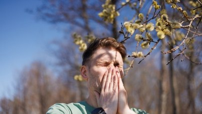 Lekarze: Przed nami potężne uderzenie alergii. Co teraz uczula?