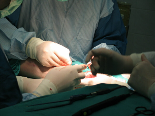 Lekarze przeprowadzili rzadki zabieg - odgryzioną małżowinę zaszyli w brzuchu dziecka /Zdjęcie ilustracyjne /RMF FM
