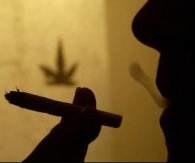 Lekarze zaczynają zalecać marihuanę jako środek uśmierzający ból /AFP