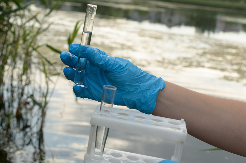 Leki w wodzie. Naukowcy pracują nad metodą oczyszczania /123RF/PICSEL