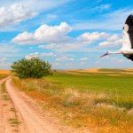 Lekki wiatr, przyjemna temperatura i bezchmurne niebo. Pogoda na weekend