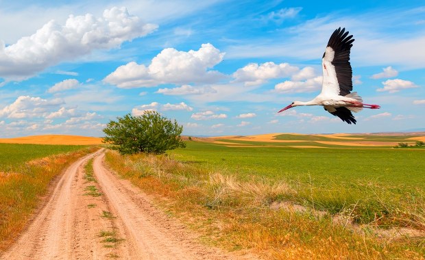 Lekki wiatr, przyjemna temperatura i bezchmurne niebo. Pogoda na weekend