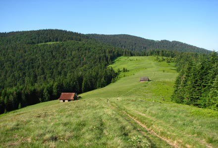 Lekko wzmocniona zieleń krajobrazu /INTERIA.PL