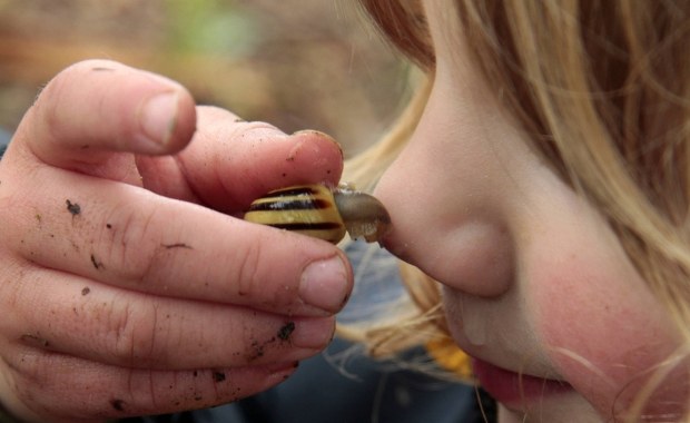 Leon Ciechanowski: Zapach potrafi przekazywać emocje, coś metapoziomowego