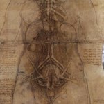 "Leonardo Da Vinci uznawał człowieka za sztukę. Kult ciała był ogromny”
