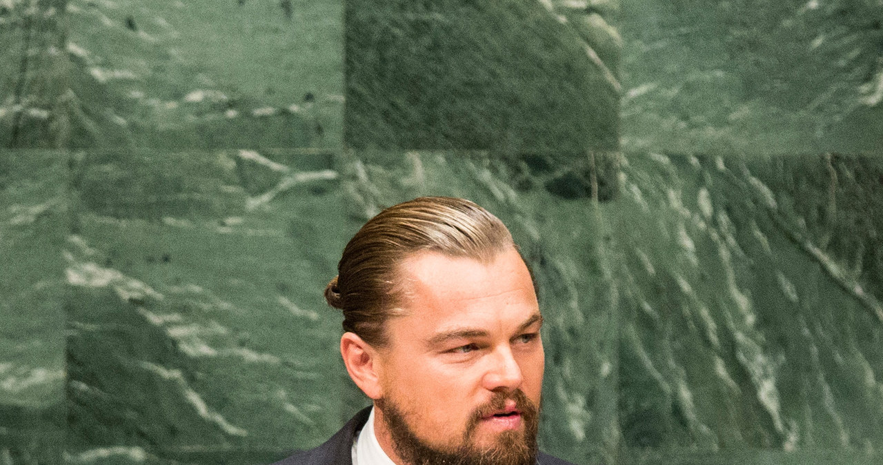 Leonardo DiCaprio /Andrew Burton /Getty Images