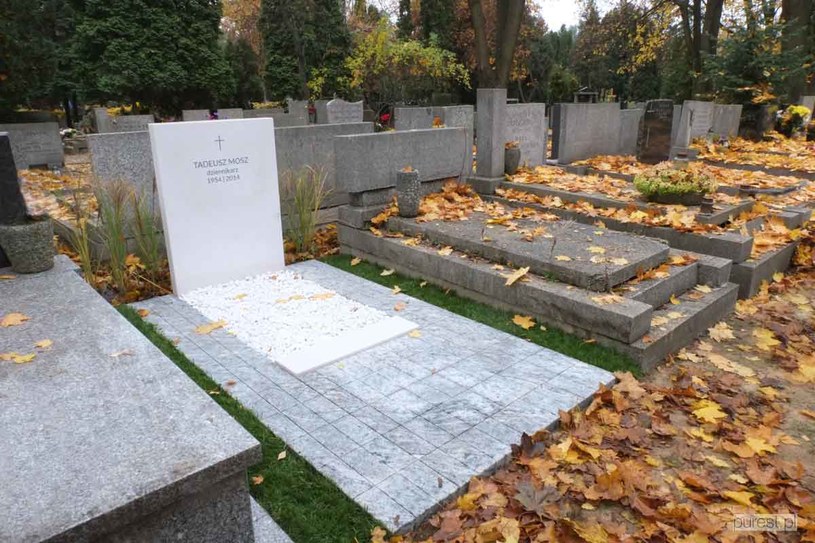 "Lepiej byłoby, gdyby obszar cmentarza był zorganizowany jak przestrzeń miejska" /Styl.pl/materiały prasowe