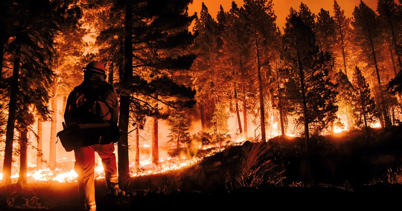 Lepiej nie mieszkać w okolicy narażonej na pożary. Dlaczego? /SOPA Images /Getty Images