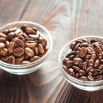 Lepsza arabica czy robusta? Na to zwróć uwagę wybierając rodzaj kawy