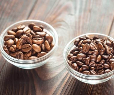 Lepsza arabica czy robusta? Na to zwróć uwagę wybierając rodzaj kawy