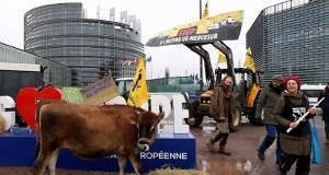 Lepsze informacje ws. Mercosur. Będą "bezpieczniki" dla rolników