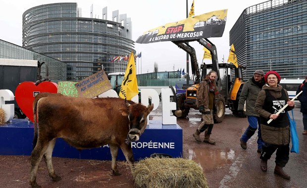 Lepsze informacje ws. Mercosur. Będą mocniejsze "bezpieczniki" dla rolników