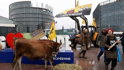 Lepsze informacje ws. Mercosur. Będą mocniejsze "bezpieczniki" dla rolników