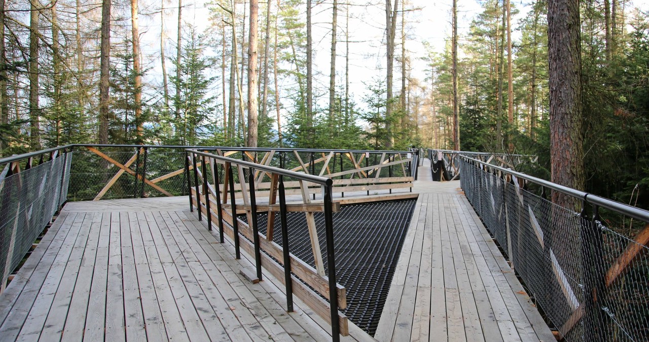 Leśne Molo w Starym Sączu to imponująca i nowoczesna konstrukcja dostępna dla odwiedzających przez cały rok /East News