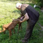 Leśni kidnaperzy. Chcą pomóc, a szkodzą