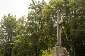 Leśny cmentarz bez nagrobków w Poznaniu. Mniejsza szkoda dla środowiska