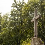 Leśny cmentarz bez nagrobków w Poznaniu. Mniejsza szkoda dla środowiska