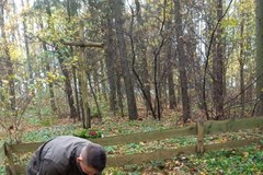 Leśny cmentarz wojskowy w Zerbuniu
