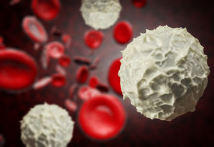 Leukocyty - poznaj rolę białych krwinek
