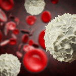 Leukocyty - poznaj rolę białych krwinek