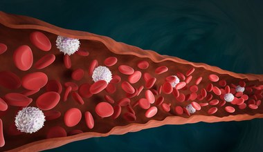 ​Leukocyty - znaczenie i norma białych krwinek