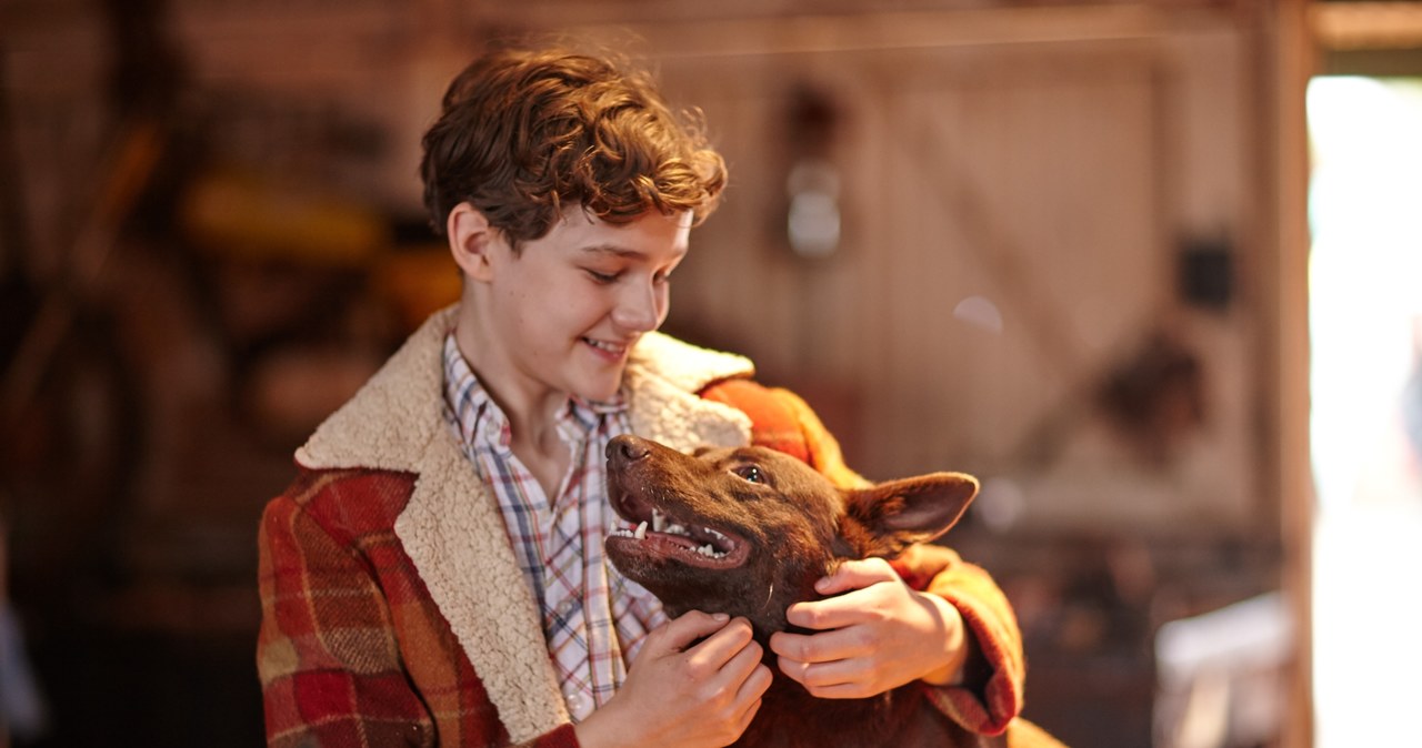 Levi Miller w "Moich wakacjach z Rudym" /materiały prasowe