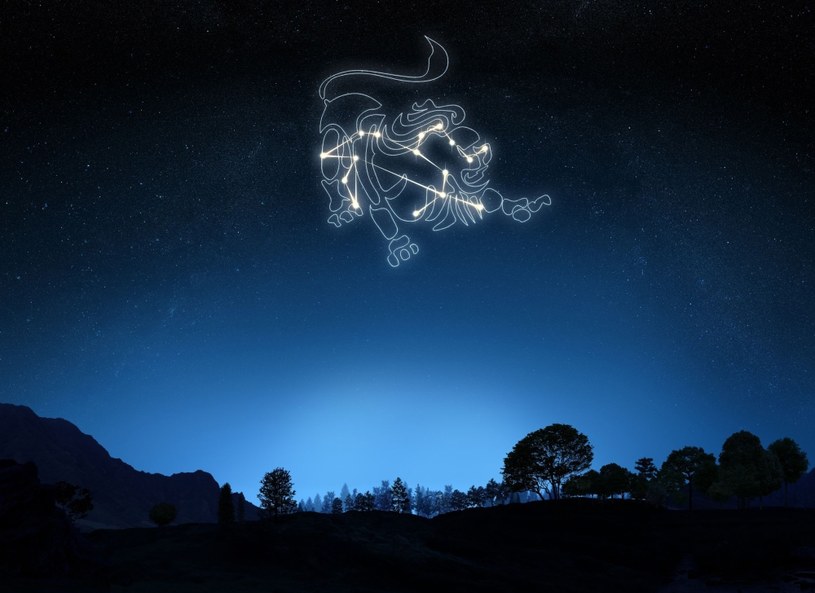 Lew to silny znak zodiaku /123RF/PICSEL