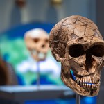 Lewant kolebką pochówków. Wspólne tradycje Homo sapiens i neandertalczyka