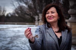 Lewica: Marihuana powinna być w Polsce legalna