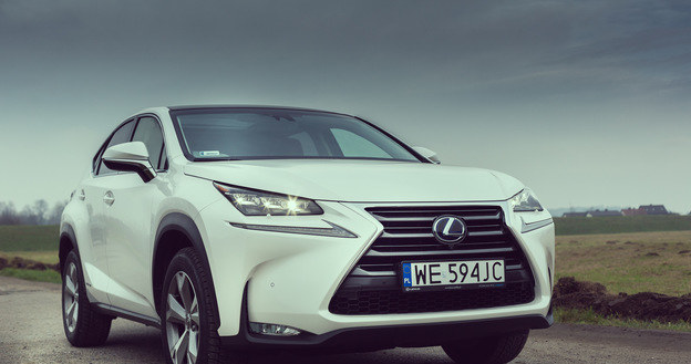 Lexus NX 300h /INTERIA.PL