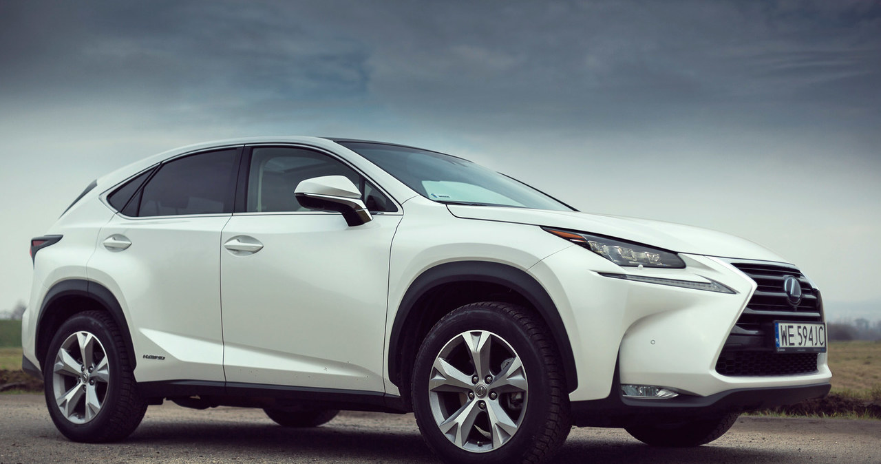 Lexus NX 300h /INTERIA.PL