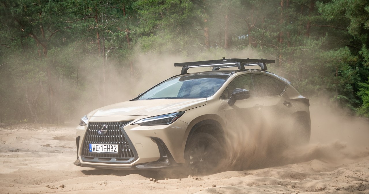 Lexus NX Overtrail trafił do oferty w 2024 roku. To wersja gotowa zjechać ze szlaku. /Lexus